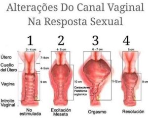 Preliminares Entenda a importância para o corpo feminino